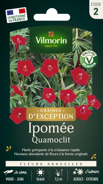 Fleurs - Ipomée Quamoclit - Graines d'Exception - PACKAGING_RECTO